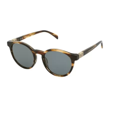 Discount Gafas de sol havana Bold Bear Gafas De Sol